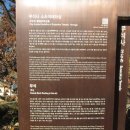 풍기선비골인삼시장 이미지