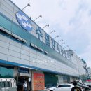 [흥한수산] 강서수산시장 물회 내돈내산