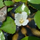 능인한의원 이미지