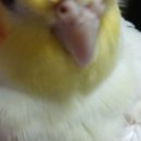 (유)금강대형 이미지