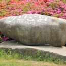 천안대로 이미지