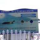 명지태양광발전소 이미지