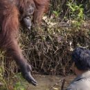 프라브미 이미지