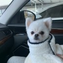 무양반려동물병원 이미지