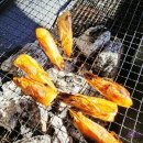 레인보우펜션 레드 이미지