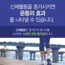 오투존 이미지