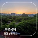 건강체조(월) | 노을이 이쁜 부평공원 주차장 건강체조교실 야간 산책 운동 데이트코스 솔직 후기