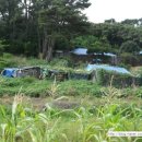 해주공업사 이미지