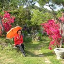 동산조경