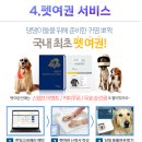 달중이네 | [1편] 애견 동반 제주여행: 완도항 → 제주항, 펫티켓 구매부터 첫날 여행까지!