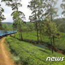 메디싱크 이미지