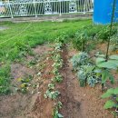 지남농장 이미지