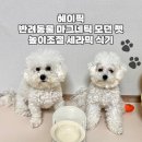 Pick-Pct(픽-펫) | 헤이픽/마그네틱 모던 펫 높이조절 식기 사용 후기
