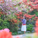 완산-1 이미지