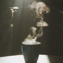 해유한의원 | 앞자리 6에서 5로! 가장 효과 본 다이어트 루틴 대공개 - 아침마다 사과+블루베리, 따뜻한물 마시기...