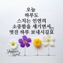 알파고공인중개사사무소 네이버블로그