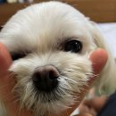 [소래포구 전통어시장] 현지인의 새우, 꽃게, 광어, 젓갈 시세부터 구매후기! 꿀팁과 단골 추천