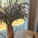 세교보석 | 세교신도시2 커피에 진심인 곳, 아이와 함께 가기 좋은 아워시즌 에이프릴
