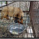 근수농장 이미지