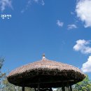 5단지방앗간 Daum카페