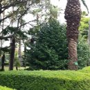 한국폴리텍 I 대학 제주캠퍼스 이미지