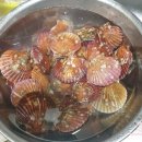 시온수산 이미지