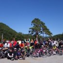 솔뫼골식당 이미지