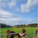 동산사슴목장 이미지