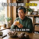 건강을 지키는 차생활 | 중년 건강을 지키는 둥근마 마즙 발효 천마 효능