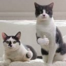 신림역 6번 출구 앞 이미지