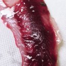 남해안 | 제철수산물 보리숭어 회 후기｜남해안 숭어 필렛 택배 회 솔직 리뷰