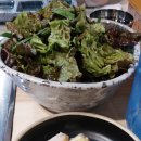 이가돈풍 이미지