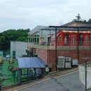 킹덤키즈-F 이미지