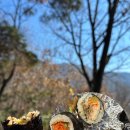 뚱채김밥 진천직영점 | [대구맛집] 저렴하고 통째로 뜯어먹는 맛이 별미인 ‘뚱채김밥’