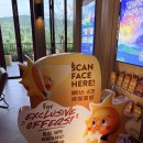 씨~월드 | 12월 푸꾸옥 여행 1일차 키스오브더씨 쇼 / 뉴월드 조식 후기