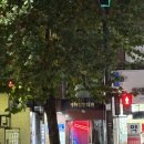 씨제이올리브영(주) 마포도화점 | 합정 칵테일바 분위기 좋은 교집합 후기 : 홍대 술집 데이트 생일파티