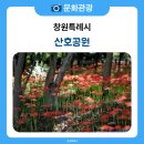 산호동136 이미지