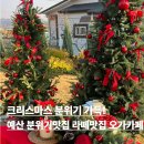 오가초등학교 | 크리스마스트리 장식이 예쁜 예산 카페 오가카페 방문 후기 예산 라떼맛집