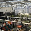 반려식물 다육이 관리법과 테라리움 원예 | 다가오는 식목일 준비! 고양 헬로우가든마켓에서 반려식물 입양하기