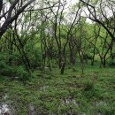 운곡생태습지길 1코스 이미지