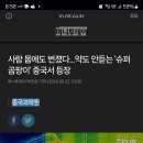 사람 몸에도 번졌다…약도 안듣는 '슈퍼 곰팡이' 중국서 등장 이미지