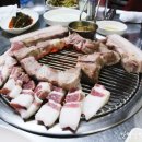 돈사촌외도점