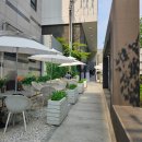 강남 대형카페 셀렉티드닉스 강남역 데이트 주차이용