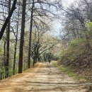 장동 산디마을입구 주차장 | 대전 장동문화공원-장동산림욕장-계족산황톳길-계족산성-성재산 여행기록
