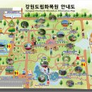 강원도립화목원 이미지