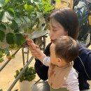 박지호농장 | 얼짱 유혜주 아들과의 근황 공개, 남편은 누구? 전남친 박지호와 헤어진 이유 (+나이)