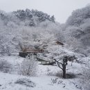 충북 단양 대규모 토지 급매 대지·전·답·임야·도로 포함 이미지