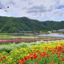 도담행복마을 이미지