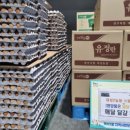 대성농장2 데일리와이