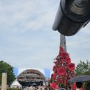 전남 곡성군 기차마을 장미공원 장미꽃 탐방+증기기관차 여행/귀여운 손주들과 함께(2024.5.25.토) 이미지